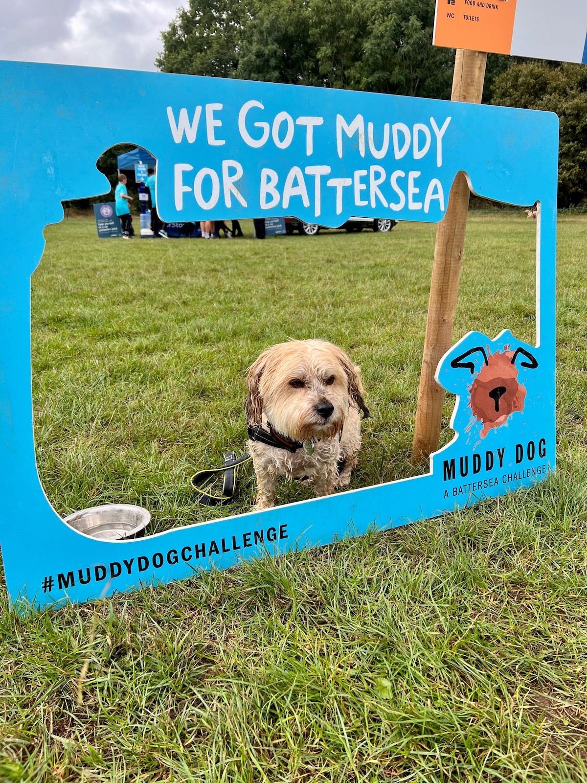 Muddy Dog Challenge 2022